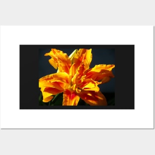 Lily Orange Flower Art on black background: Beautiful Home Decor, Phones, Face masks & Gifts Posters and Art